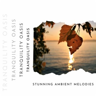 Stunning Ambient Melodies Blended with Calming Sounds of Nature