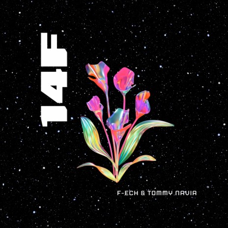 14F ft. Tommy Navia | Boomplay Music