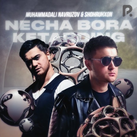 Necha bora ketarding ft. Muhammad Ali Navruzov | Boomplay Music