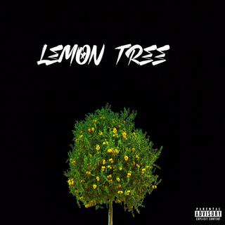 Lemon Tree