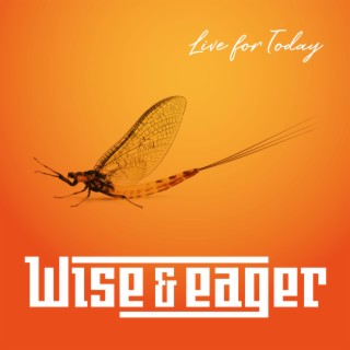 Wake lyrics | Boomplay Music