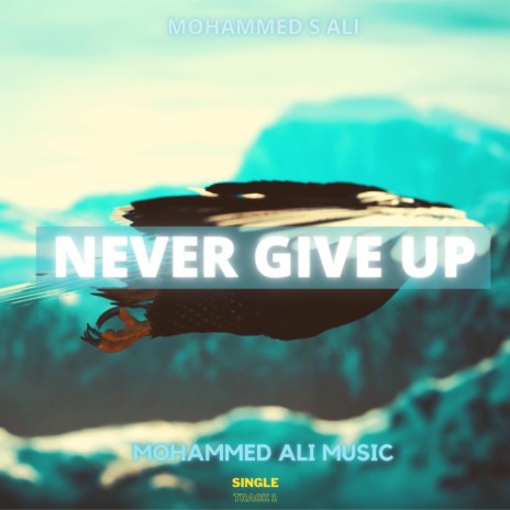 NEVER GIVE UP | Boomplay Music