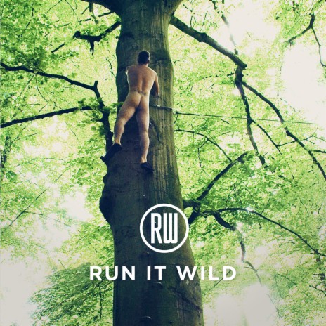 Run It Wild | Boomplay Music