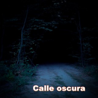 Calle oscura