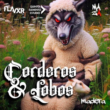 Corderos y Lobos | Boomplay Music