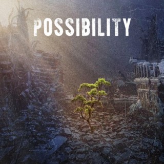 Possibility