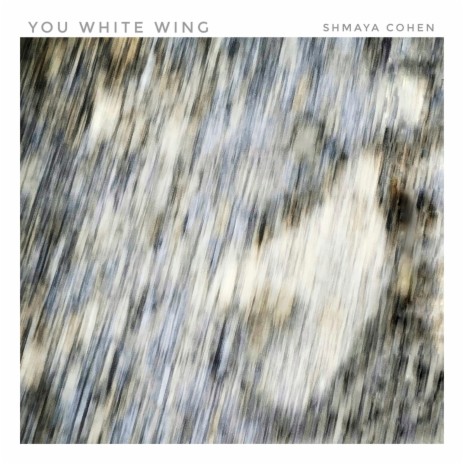 You White Wing ft. Sol Monk, Matteo Morbidelli, Elisabetta Paolini, DIvusae Castrucci & Mattia Geracitano | Boomplay Music
