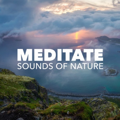 Meditate (Original Mix)