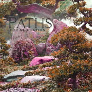 Paths For Meditation