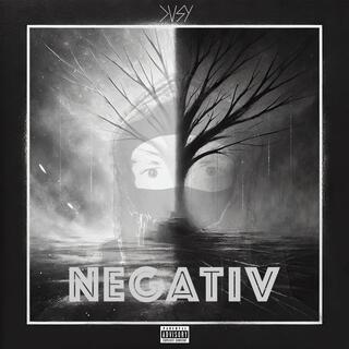 Negativ