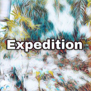 Expedition