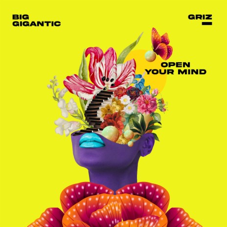 Open Your Mind ft. GRiZ | Boomplay Music