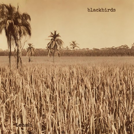 Blackbirds (Demo) | Boomplay Music