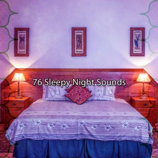 76 Sleepy Night Sounds