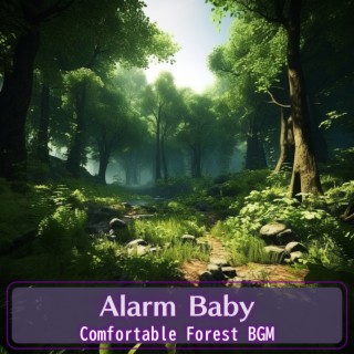 Comfortable Forest BGM
