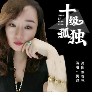 十级孤独 吴迪女版