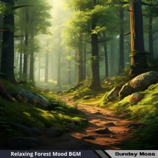 Relaxing Forest Mood BGM