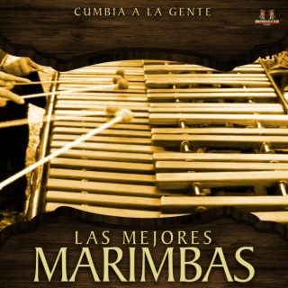 Las Mejores Marimbas