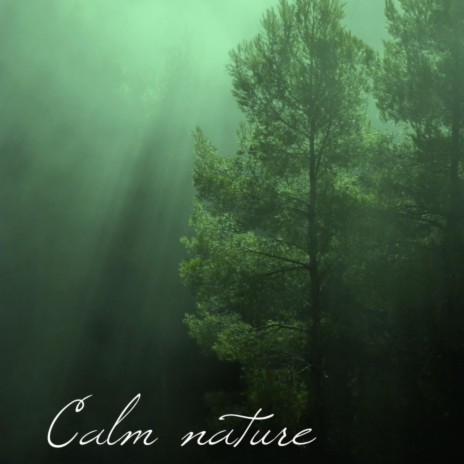 Calm nature | Boomplay Music