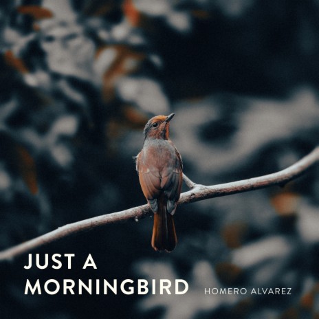 Just a Morningbird | Boomplay Music