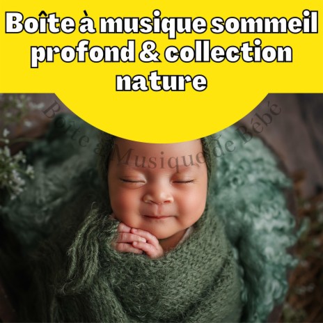 Sommeil profond, La nature | Boomplay Music