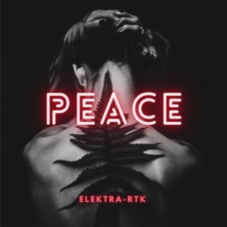 PEACE (Original Mix)