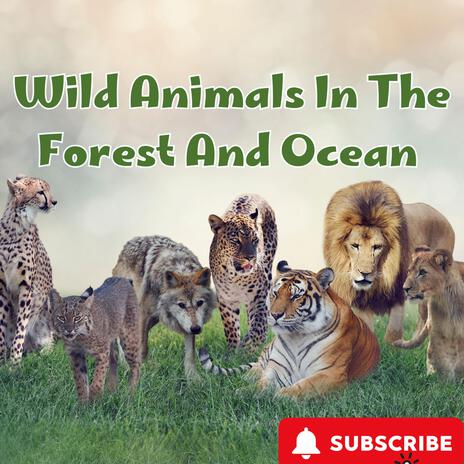 Wild Animals in the Ocean and Forest A lively and adventurous song that takes kids on a journey through the ocean and forest, meeting playful animals as they swim, jump, and roar along the way!