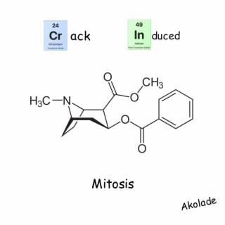 Crack Induced Mitosis