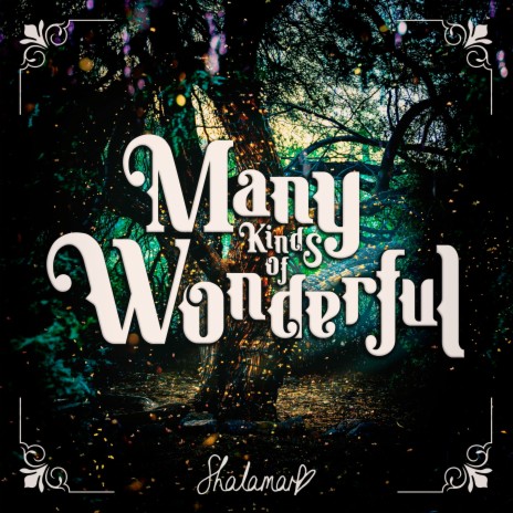 Many Kinds Of Wonderful | Boomplay Music