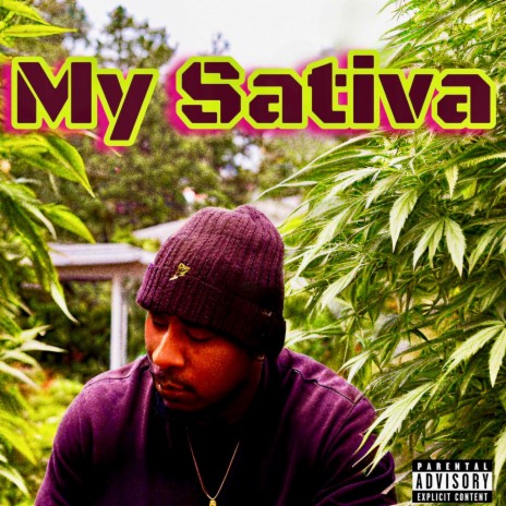 My Sativa | Boomplay Music