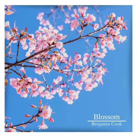 Blossom | Boomplay Music