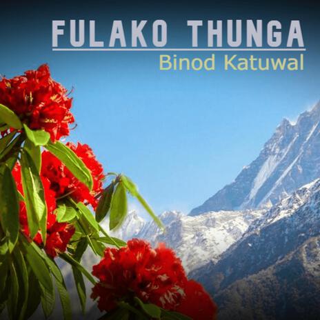 Fulako Thunga | Boomplay Music