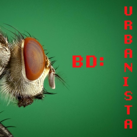 Urbanista | Boomplay Music