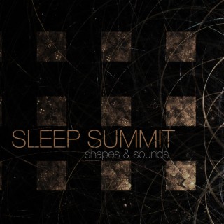 Sleep Summit