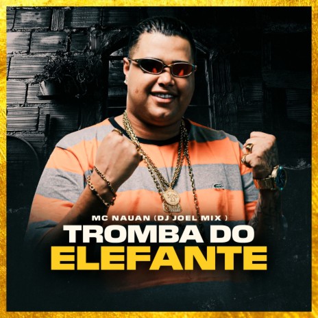 Tromba do Elefante ft. DJ JOEL MIX | Boomplay Music