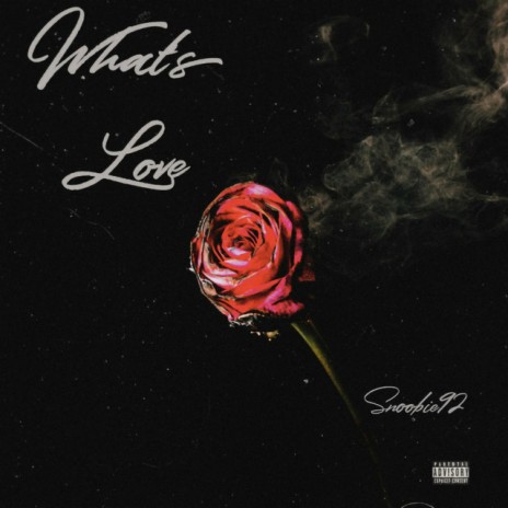 Whats Love | Boomplay Music