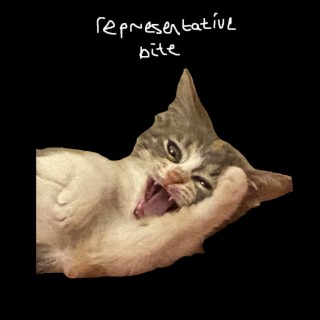 representative bite