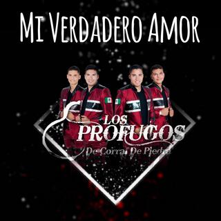 Mi Verdadero Amor lyrics | Boomplay Music