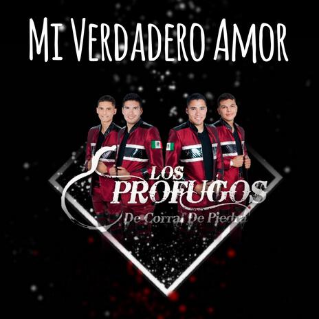 Mi Verdadero Amor | Boomplay Music