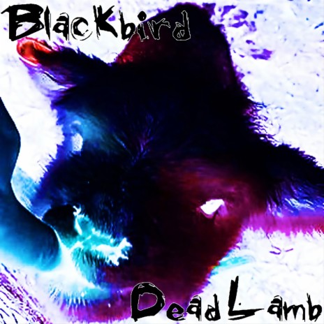 Dead Lamb | Boomplay Music