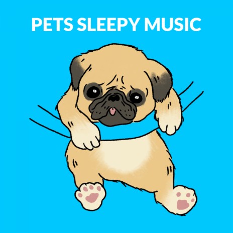 Piano Music For Pets ft. Cat Music & Music For Cats | Boomplay Music