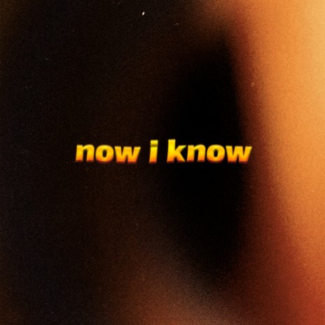 now i know ft. Vic Vilela | Boomplay Music