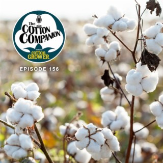 Acreage Projections, Award Winners, and Hot Cotton Headlines