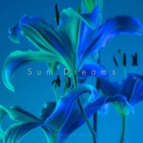 Sun Dreams | Boomplay Music