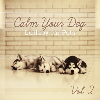 Calm Your Dog: Lullaby for Pets Vol. 2 - Anti Anxiety, Inner Peace, Deep Relaxation Soothing Music