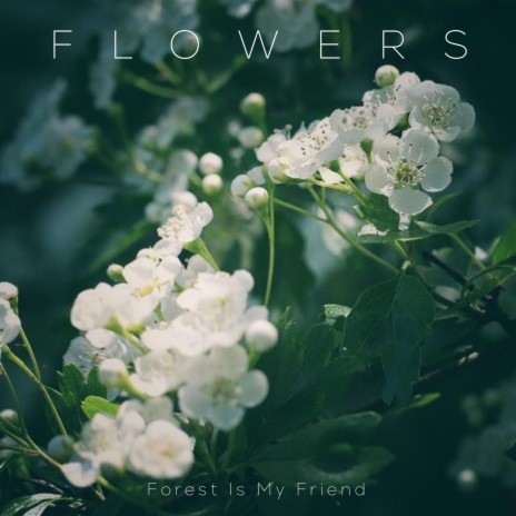 flowers | Boomplay Music