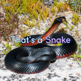 That’s a Snake