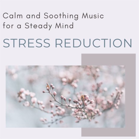 Stress Reduction | Boomplay Music