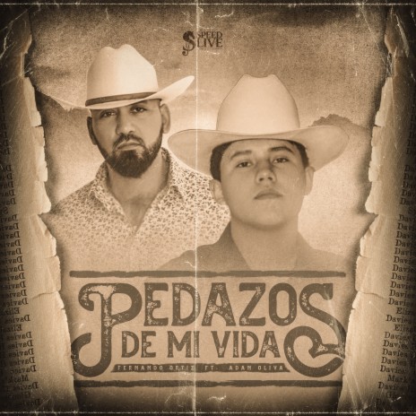 Pedazos De Mi Vida ft. Adan Olivas | Boomplay Music