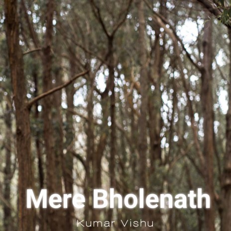 Mere Bholenath | Boomplay Music